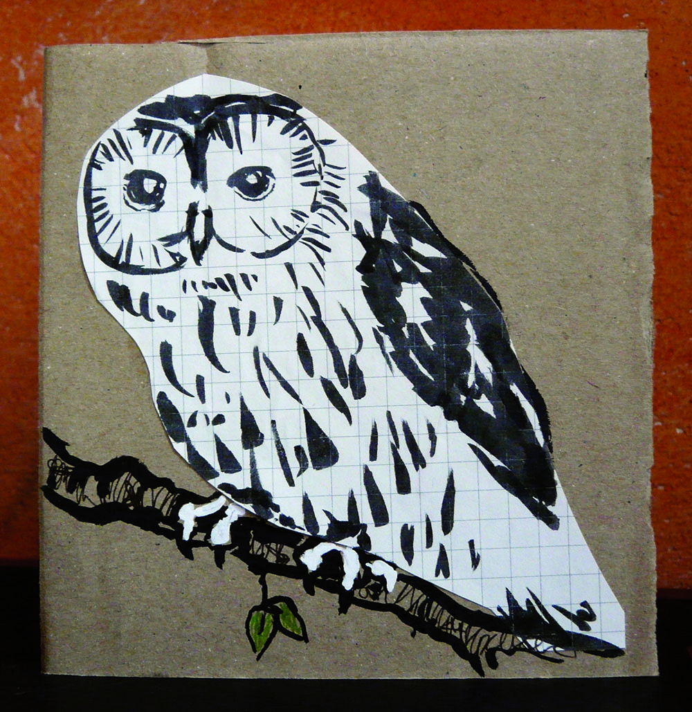 Collage illustration of a tawny owl