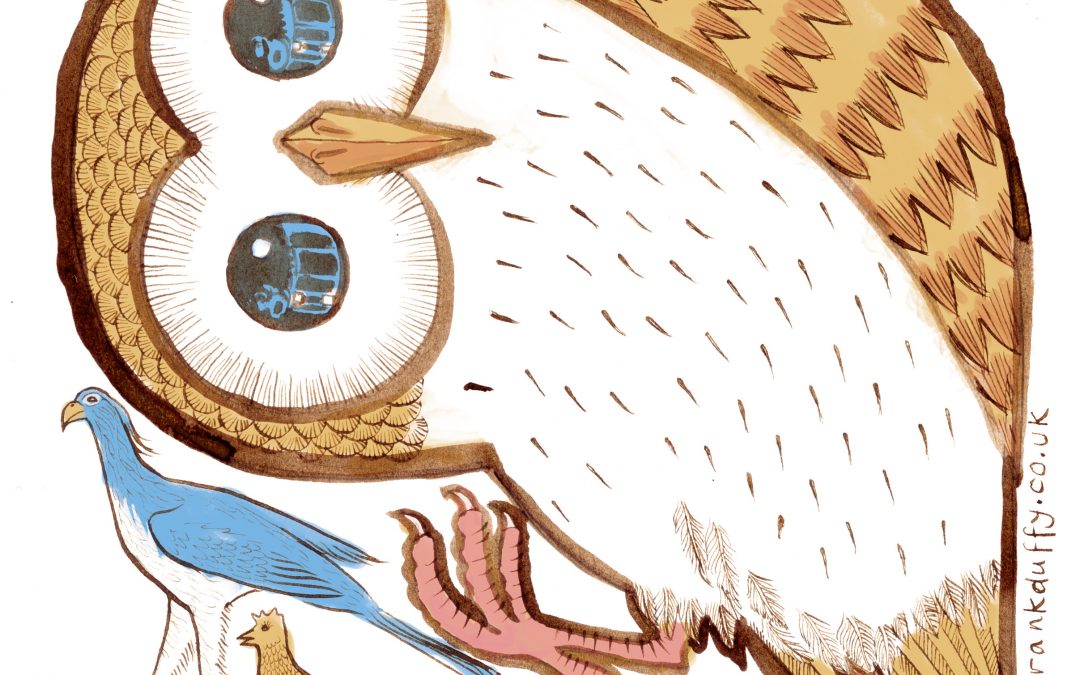 Owl illustration for book