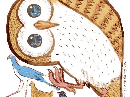 Owl illustration for book