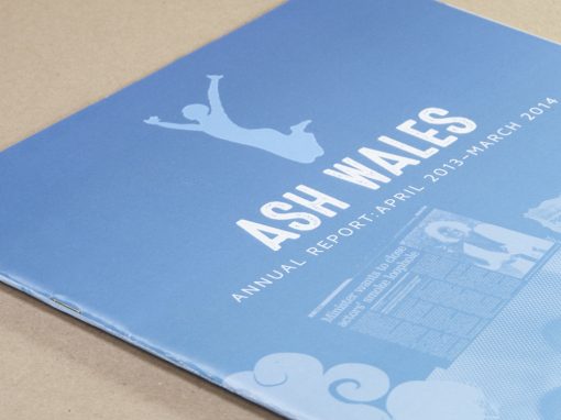 Annual report for ASH Cymru